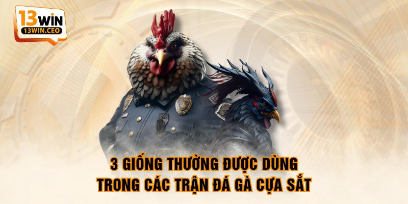 Đá Gà Cựa Sắt - Mãn Nhãn Với Màn Chọi Kê Kịch Tính - ovixo.vip