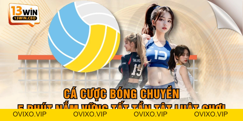 Ưu Điểm Đá Gà Thomo Trực Tuyến Và Các Quy Định Đặt Cược - ovixo.vip