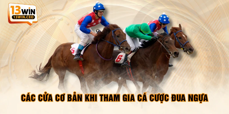 Luật Cá Cược Đua Ngựa - Thông Tin 6 Kèo Cơ Bản Từ A - Z - ovixo.vip