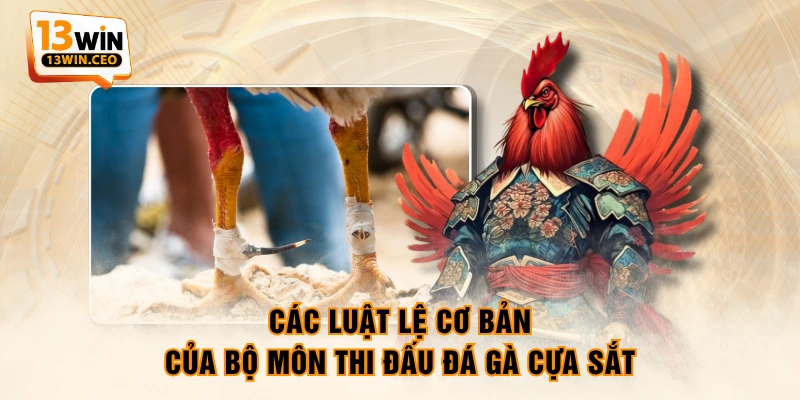 Đá Gà Cựa Sắt - Mãn Nhãn Với Màn Chọi Kê Kịch Tính - ovixo.vip