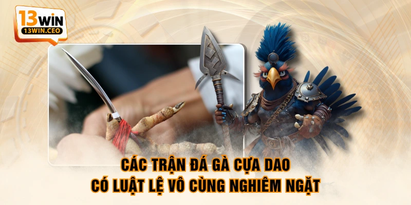 Luật Đá Gà Cựa Dao Chi Tiết Nhất Anh Em Sư Kê Cần Nắm - ovixo.vip Luật Đá Gà Cựa Dao Chi Tiết Nhất Anh Em Sư Kê Cần Nắm - ovixo.vip