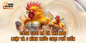 Đá Gà 13WIN - Hội Tụ Các Chiến Kê Đẳng Cấp Hàng Đầu - ovixo.vip