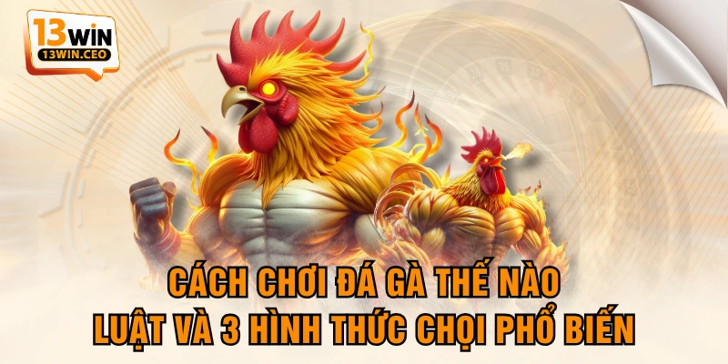 Cách Chơi Đá Gà Thế Nào - Luật Và 3 Hình Thức Chọi Phổ Biến - ovixo.vip