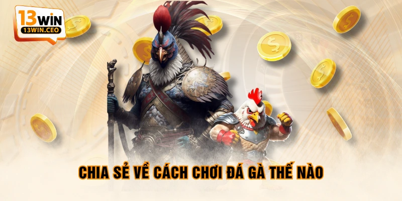 Cách Chơi Đá Gà Thế Nào - Luật Và 3 Hình Thức Chọi Phổ Biến - ovixo.vip