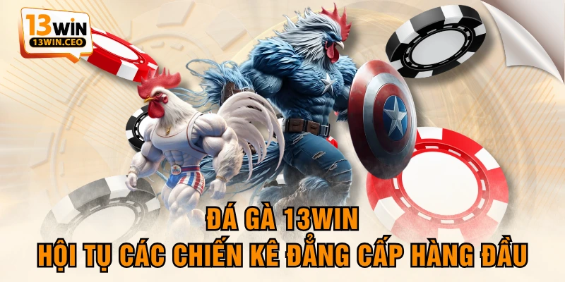 Đá Gà 13WIN - Hội Tụ Các Chiến Kê Đẳng Cấp Hàng Đầu - ovixo.vip