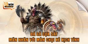 Đá Gà 13WIN - Hội Tụ Các Chiến Kê Đẳng Cấp Hàng Đầu - ovixo.vip