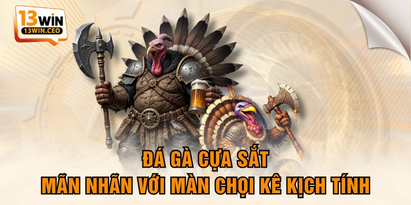Đá Gà Cựa Sắt - Mãn Nhãn Với Màn Chọi Kê Kịch Tính - ovixo.vip