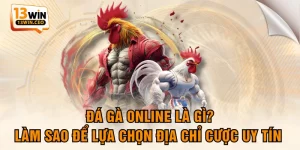 Đá Gà 13WIN - Hội Tụ Các Chiến Kê Đẳng Cấp Hàng Đầu - ovixo.vip
