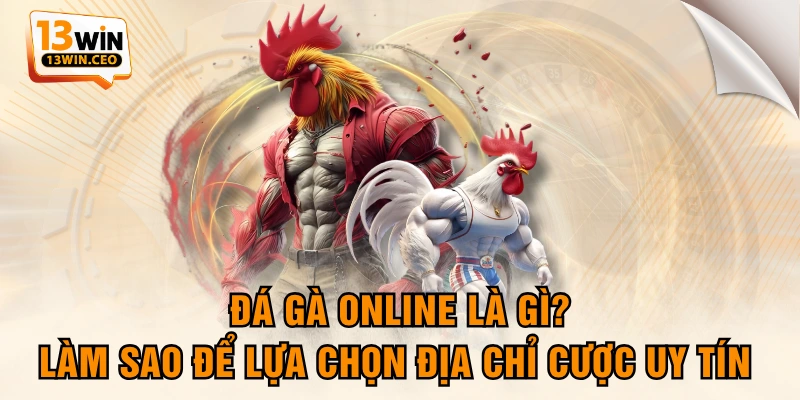 Đá Gà Online Là Gì? Làm Sao Để Lựa Chọn Địa Chỉ Cược Uy Tín - ovixo.vip