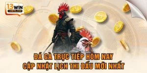 Đá Gà 13WIN - Hội Tụ Các Chiến Kê Đẳng Cấp Hàng Đầu - ovixo.vip