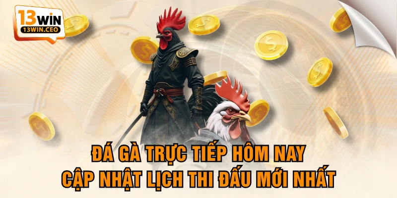 Đá Gà Trực Tiếp Hôm Nay - Cập Nhật Lịch Thi Đấu Mới Nhất - ovixo.vip