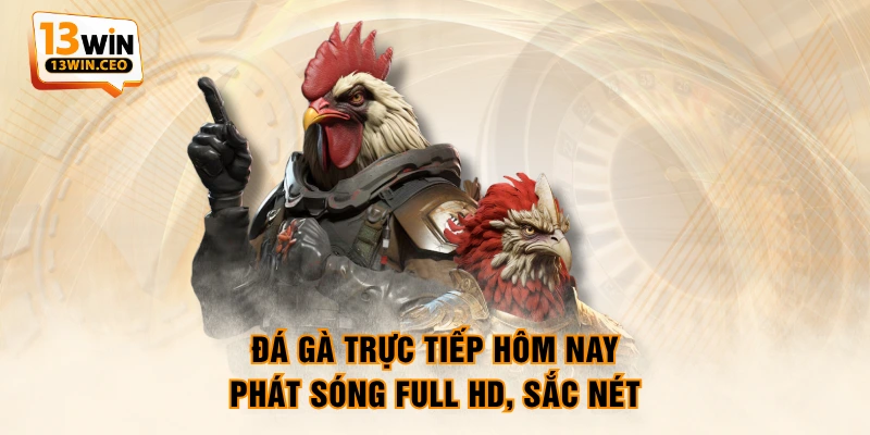 Đá Gà Trực Tiếp Hôm Nay - Cập Nhật Lịch Thi Đấu Mới Nhất - ovixo.vip