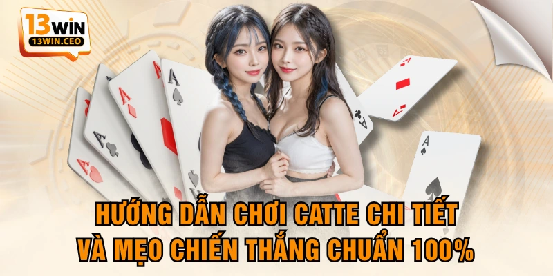 Hướng Dẫn Chơi Catte Chi Tiết Và Mẹo Chiến Thắng Chuẩn 100% - ovixo.vip