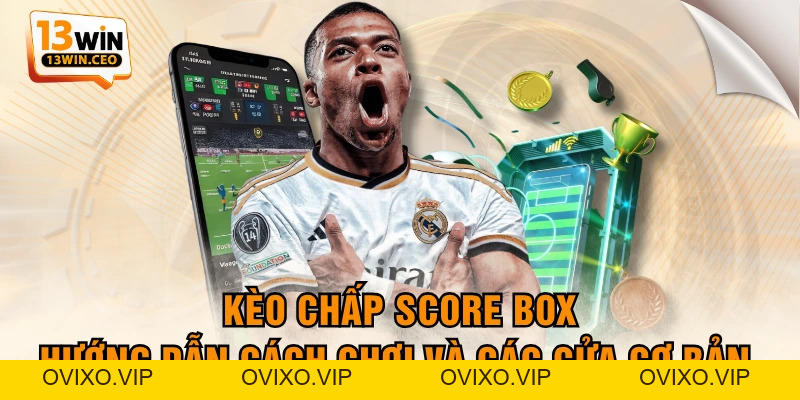 Ưu Điểm Đá Gà Thomo Trực Tuyến Và Các Quy Định Đặt Cược - ovixo.vip