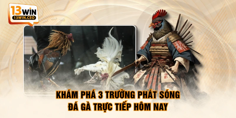 Đá Gà Trực Tiếp Hôm Nay - Cập Nhật Lịch Thi Đấu Mới Nhất - ovixo.vip
