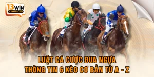 Cá Cược Thể Thao - Sân Chơi Bùng Nổ Cảm Xúc Cùng 13WIN - ovixo.vip