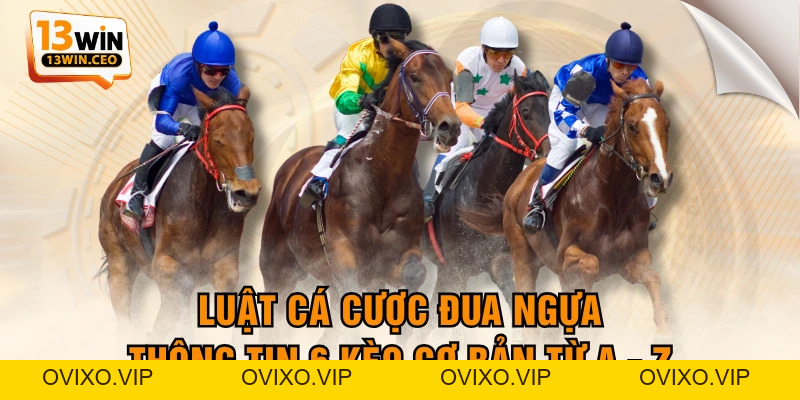 Ưu Điểm Đá Gà Thomo Trực Tuyến Và Các Quy Định Đặt Cược - ovixo.vip
