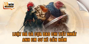 Đá Gà 13WIN - Hội Tụ Các Chiến Kê Đẳng Cấp Hàng Đầu - ovixo.vip