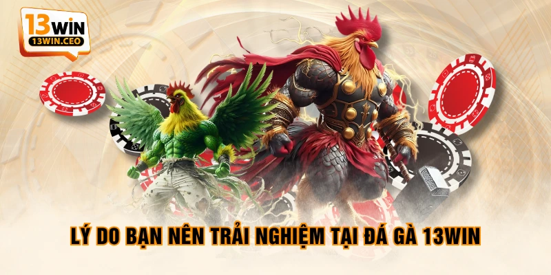 Đá Gà 13WIN - Hội Tụ Các Chiến Kê Đẳng Cấp Hàng Đầu - ovixo.vip