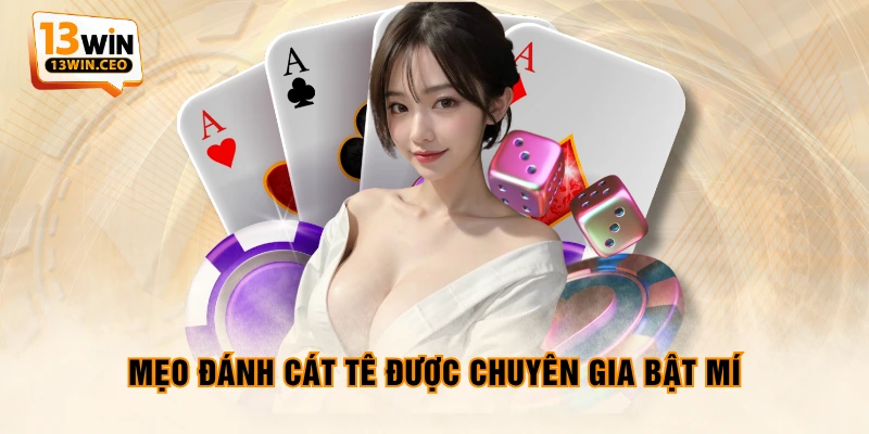 Hướng Dẫn Chơi Catte Chi Tiết Và Mẹo Chiến Thắng Chuẩn 100% - ovixo.vip