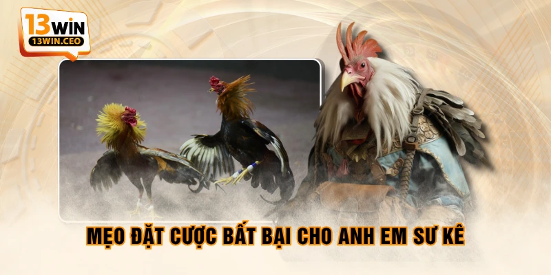 Luật Đá Gà Cựa Dao Chi Tiết Nhất Anh Em Sư Kê Cần Nắm - ovixo.vip Luật Đá Gà Cựa Dao Chi Tiết Nhất Anh Em Sư Kê Cần Nắm - ovixo.vip