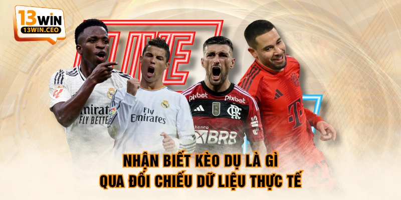 Kèo Dụ Là Gì? Hướng Dẫn 4 Cách Nhận Biết, Đề Phòng Đơn Giản - ovixo.vip