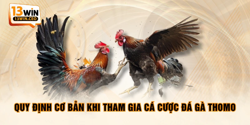 Ưu Điểm Đá Gà Thomo Trực Tuyến Và Các Quy Định Đặt Cược - ovixo.vip