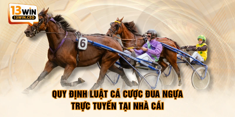 Luật Cá Cược Đua Ngựa - Thông Tin 6 Kèo Cơ Bản Từ A - Z - ovixo.vip