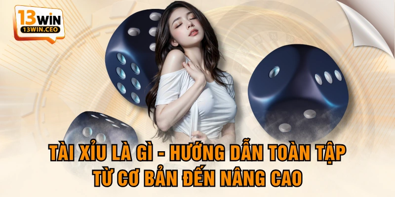 Tài Xỉu Là Gì - Hướng Dẫn Toàn Tập Từ Cơ Bản Đến Nâng Cao - ovixo.vip