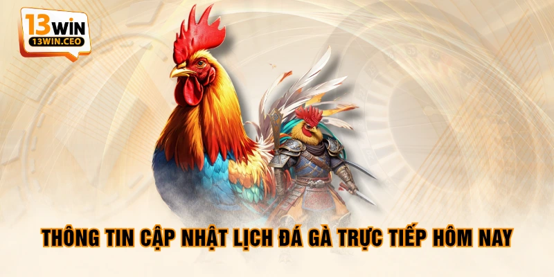 Đá Gà Trực Tiếp Hôm Nay - Cập Nhật Lịch Thi Đấu Mới Nhất - ovixo.vip