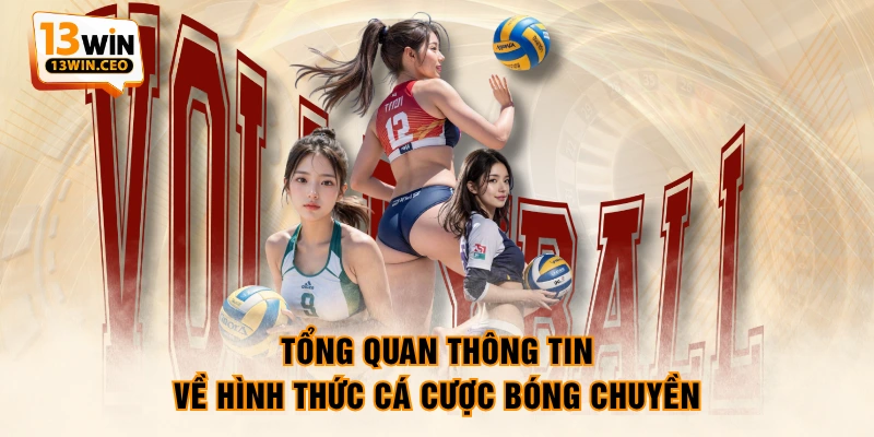 Cá Cược Bóng Chuyền - 5 Phút Nắm Vững Tất Tần Tật Luật Chơi - ovixo.vip Cá Cược Bóng Chuyền - 5 Phút Nắm Vững Tất Tần Tật Luật Chơi - ovixo.vip