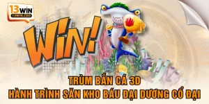 Bắn Cá 13WIN - Khám Phá Đại Dương Săn Kho Báu Cực Hời - ovixo.vip