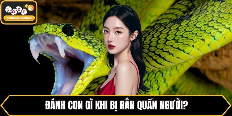 Nằm Mơ Thấy Rắn Đánh Số Gì? Đánh Theo Từng Giấc Mơ - ovixo.vip