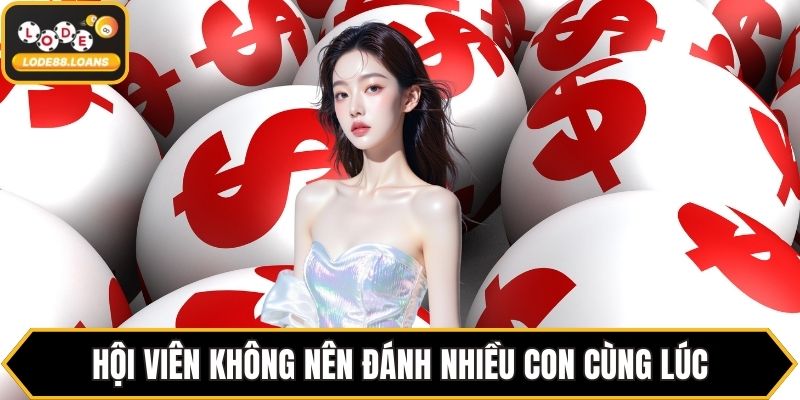 Bao Lô Miền Nam - Hướng Dẫn Chi Tiết Cho Mọi Thành Viên - ovixo.vip