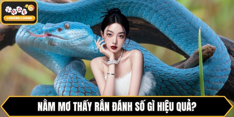 Nằm Mơ Thấy Rắn Đánh Số Gì? Đánh Theo Từng Giấc Mơ - ovixo.vip