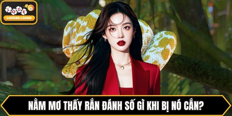 Nằm Mơ Thấy Rắn Đánh Số Gì? Đánh Theo Từng Giấc Mơ - ovixo.vip