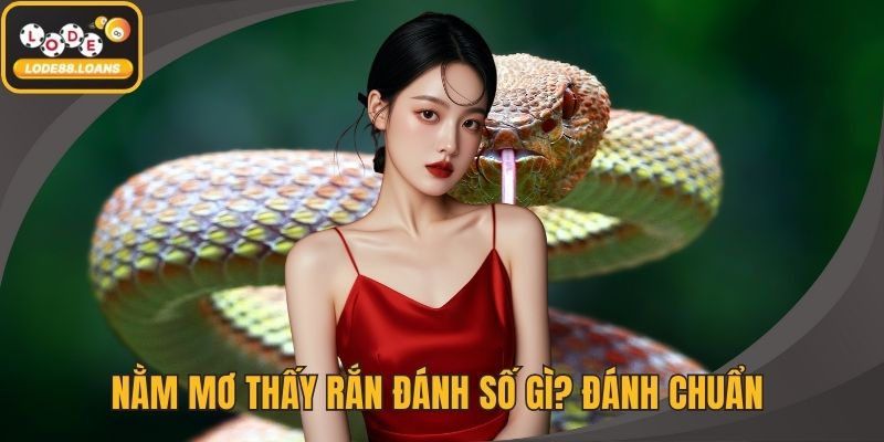 Sổ Mơ - Tâm Linh Giải Mã Giấc Mộng và Con Số Tài Lộc - ovixo.vip