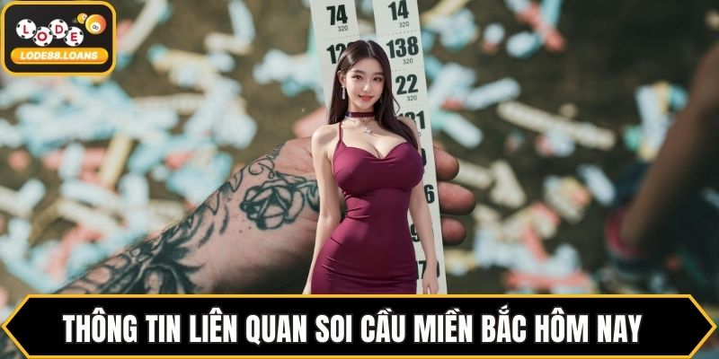 Soi Cầu Miền Bắc Hôm Nay - Bí Quyết Chốt Số May Mắn - ovixo.vip