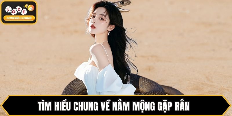 Nằm Mơ Thấy Rắn Đánh Số Gì? Đánh Theo Từng Giấc Mơ - ovixo.vip