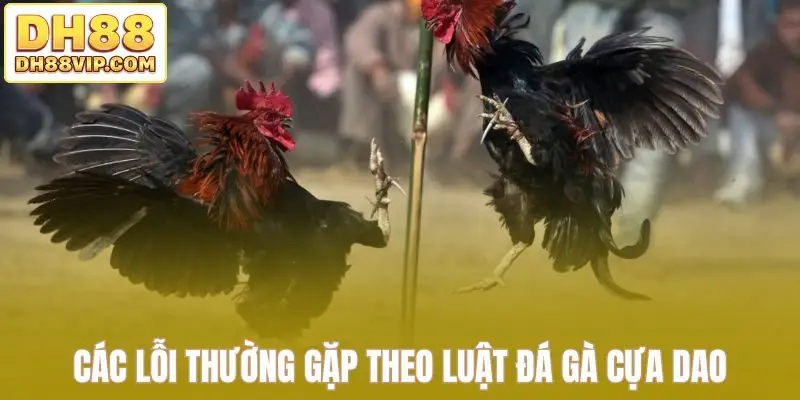 Luật Đá Gà Cựa Dao - Hướng Dẫn Đầy Đủ Từ Chọn Cựa Đến Kèo Đá - ovixo.vip