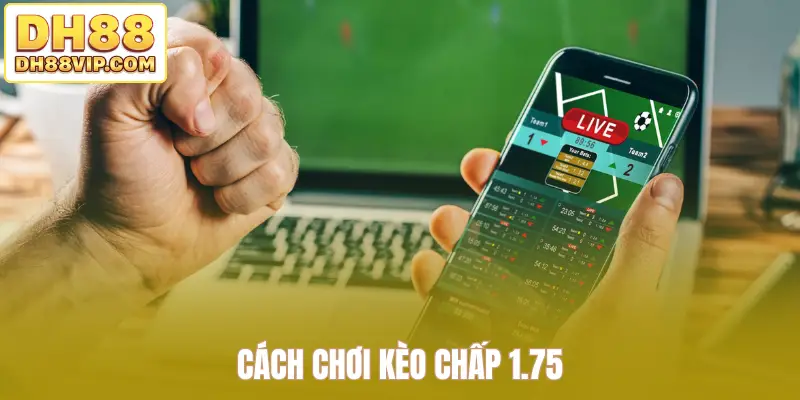 Mẹo Chơi Kèo Rung Hiệu Quả Giúp Người Chơi Tăng Tỷ Lệ Thắng - ovixo.vip
