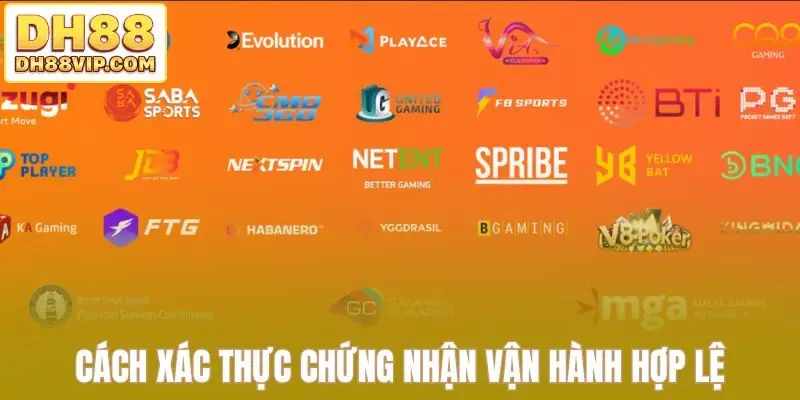Giấy Phép Hoạt Động DH88 - Khẳng Định Uy Tín Thương Hiệu - ovixo.vip
