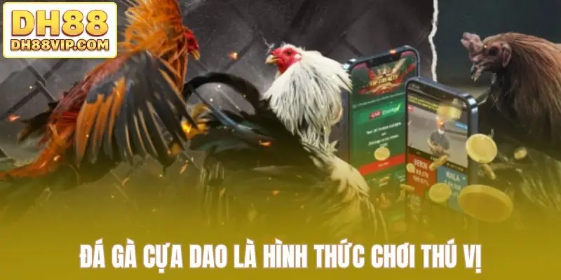 Luật Đá Gà Cựa Dao - Hướng Dẫn Đầy Đủ Từ Chọn Cựa Đến Kèo Đá - ovixo.vip