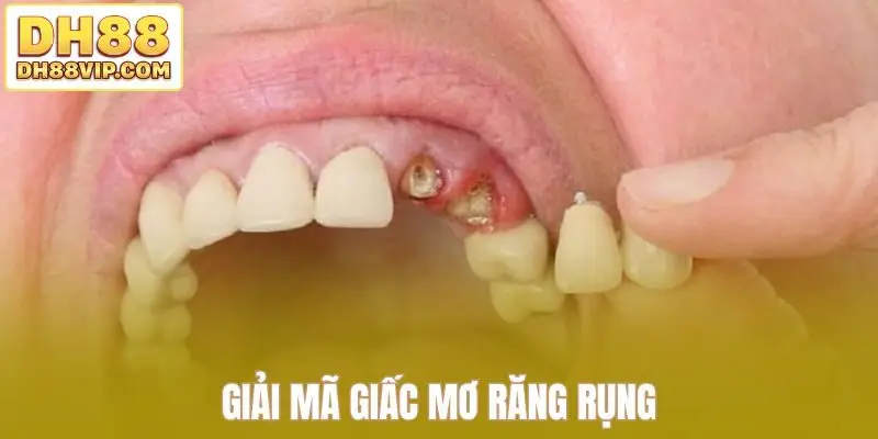 Giải Mã Giấc Mơ - Khám Phá Bí Ẩn Trong Mỗi Chiêm Bao Từ DH88 - ovixo.vip