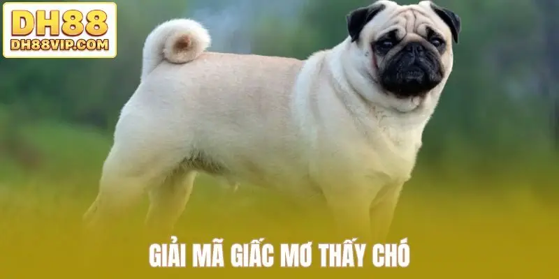 Giải Mã Giấc Mơ - Khám Phá Bí Ẩn Trong Mỗi Chiêm Bao Từ DH88 - ovixo.vip