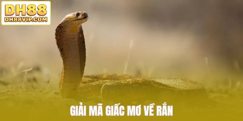 Giải Mã Giấc Mơ - Khám Phá Bí Ẩn Trong Mỗi Chiêm Bao Từ DH88 - ovixo.vip