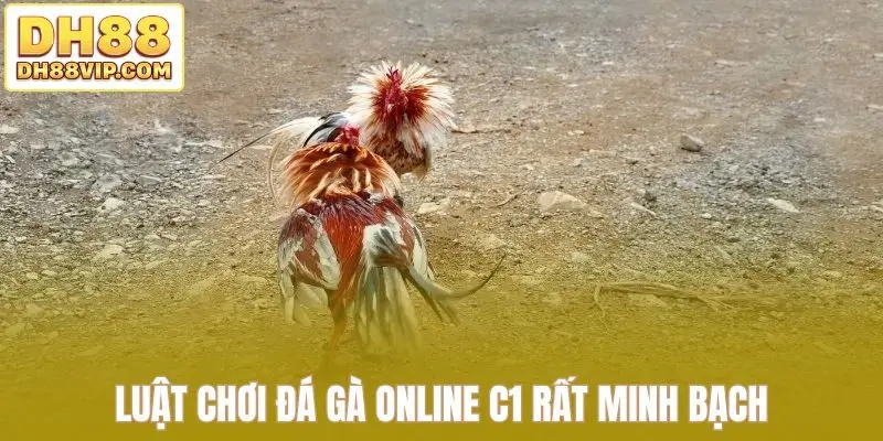 Trực Tiếp Đá Gà C1 Tái Hiện Trọn Vẹn Đấu Trường Lớn Tại DH88 - ovixo.vip