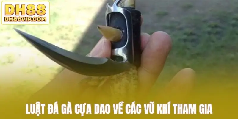 Luật Đá Gà Cựa Dao - Hướng Dẫn Đầy Đủ Từ Chọn Cựa Đến Kèo Đá - ovixo.vip