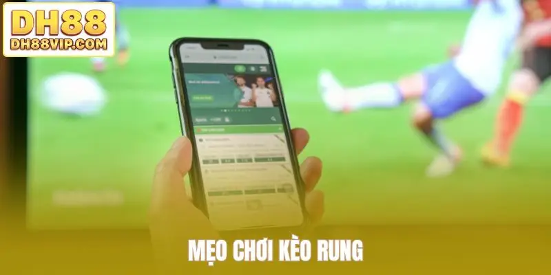 Cách Chơi Kèo Chấp 1.75 Tại DH88 Dành Cho Người Mới - ovixo.vip