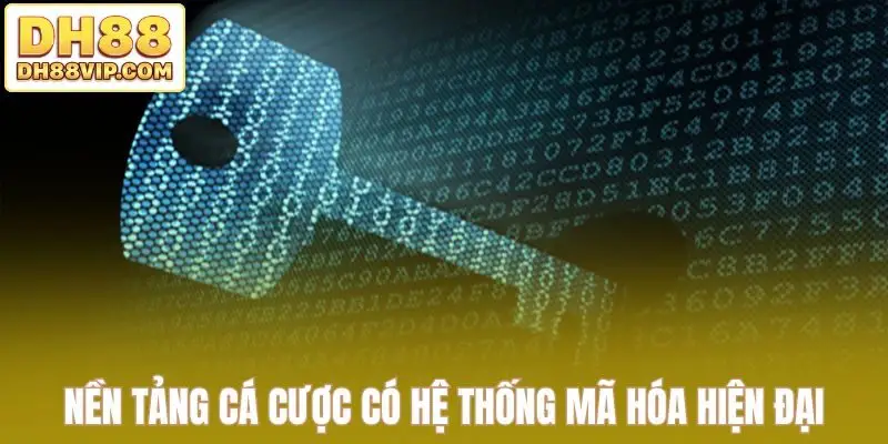 Giấy Phép Hoạt Động DH88 - Khẳng Định Uy Tín Thương Hiệu - ovixo.vip